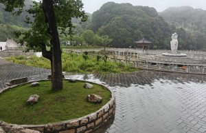 紫竹林观斗悟拳理：五枚师太与蛇鹰双形的诞生