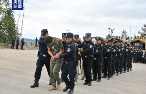 这些缅北规模化电诈园区全部被铲除！763名在缅中国籍嫌犯移交我方